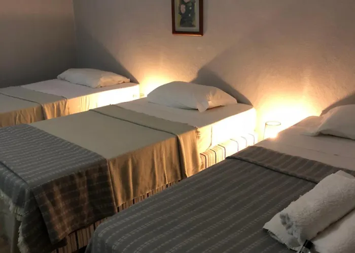 Guest house Funchal 19 Funchal (Madeira)